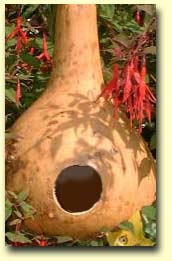 bird feeders