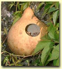 bird nesting boxes