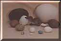 incubation