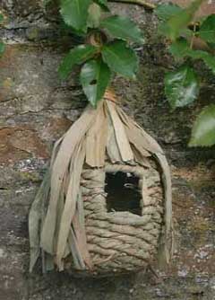 garden birds
