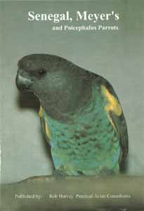 bird book
