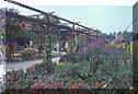 aviaries in landscaping