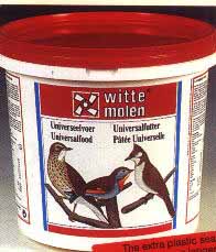 wrens, robins,flyctachers