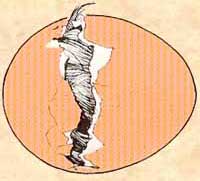 hatching