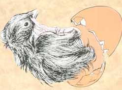 fertility