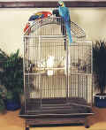 macaw cages