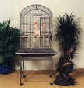 parrot cages