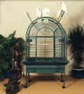 large parrot cages
