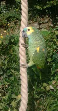 hemp rope