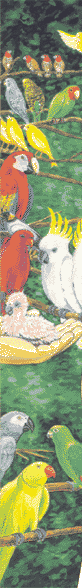 bird nectar