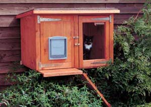 Cat house