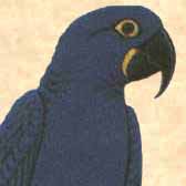 zoological suppliers